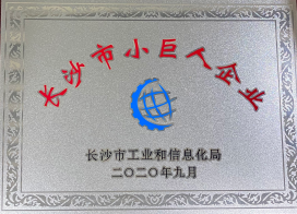 长沙市小巨人企业